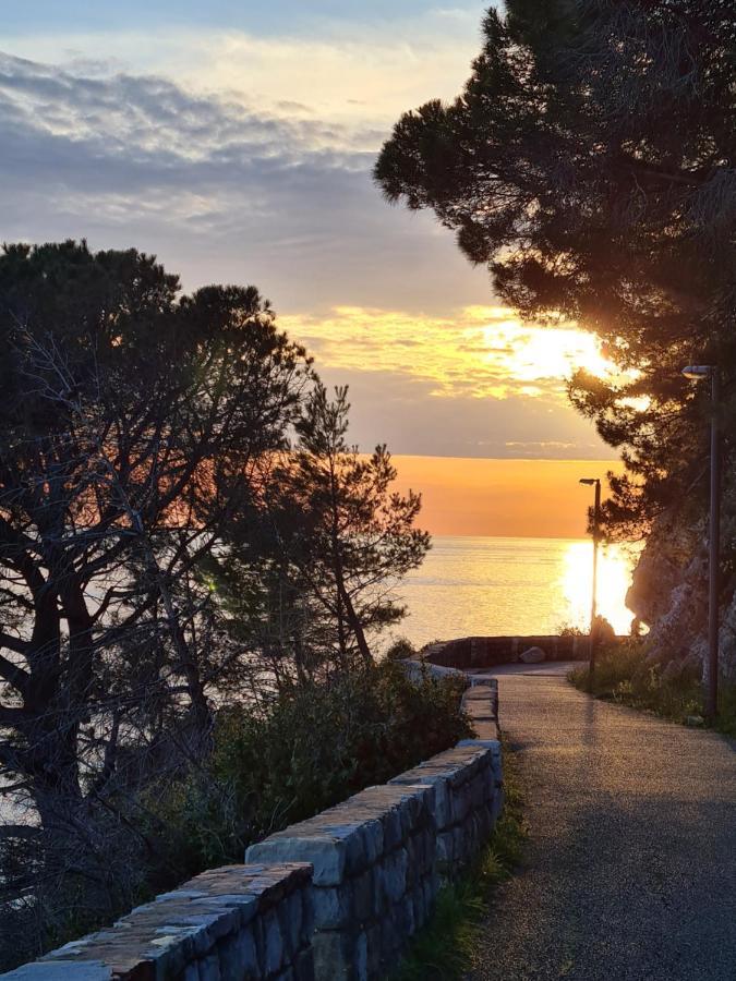 Olive Garden Apartment Petrovac Exteriér fotografie