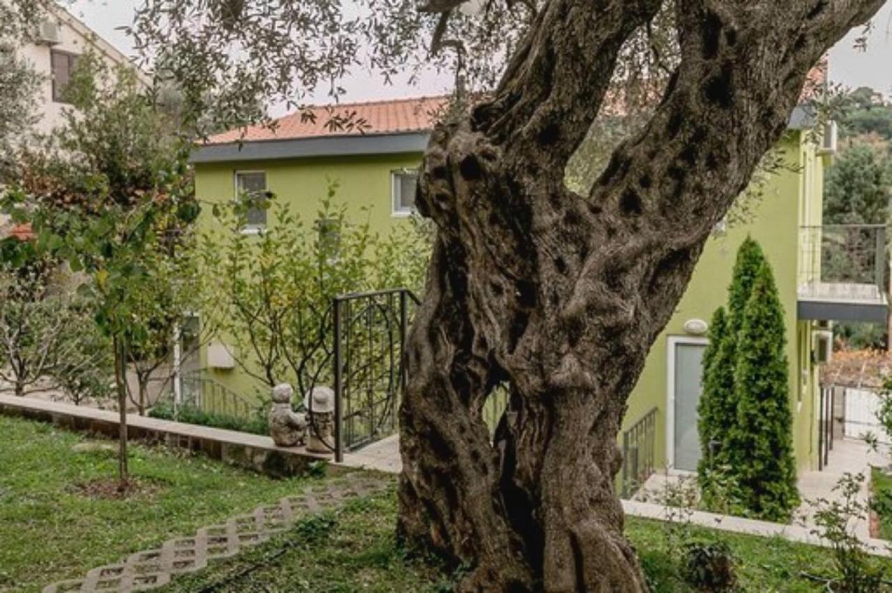 Olive Garden Apartment Petrovac Exteriér fotografie